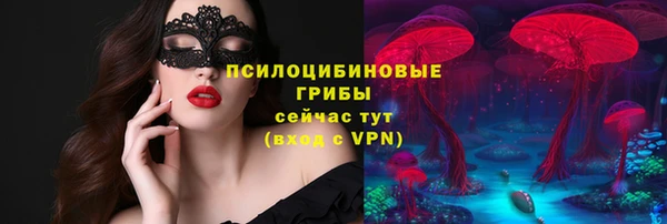 спиды Алзамай