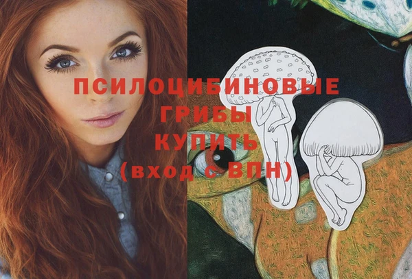 PSILOCYBIN Алексин
