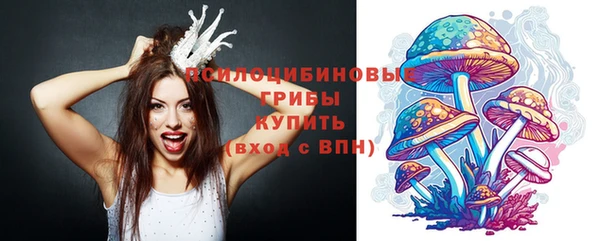PSILOCYBIN Алексин