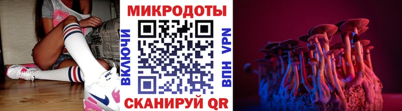 даркнет сайт Краснознаменск Псилоцибиновые грибы мухоморы
